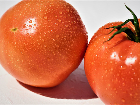 【🍅期間限定価格！】丸かじり！桃太郎トマト🍅
トマト本来の甘さ、酸味、やさしい歯ごたえ!!
バランスの取れた美味しいトマト！（4kg）