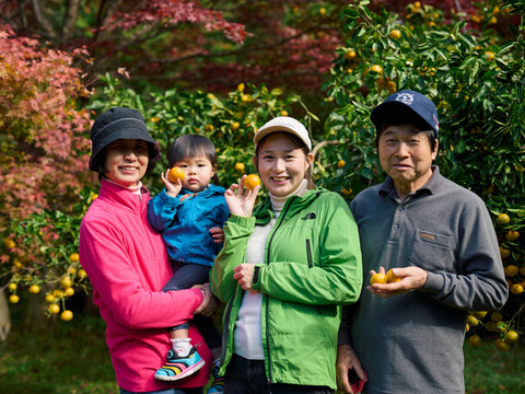 完熟ゆこう　5000g
生産量が少なくスーパーでは出回らない「幻の果実」京都の料亭では欠かせない存在であり、近年はヨーロッパのシェフたちにも愛さるローカル柑橘