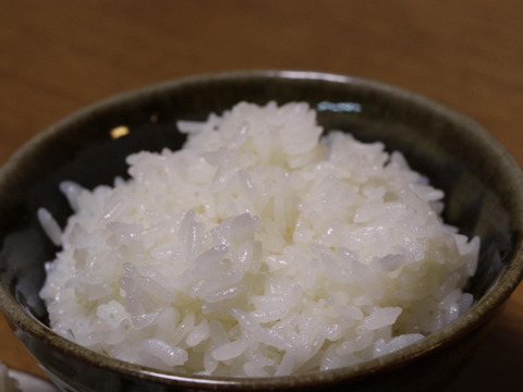 令和7年産　宮城県産　つや姫　20キロ　白米　精米