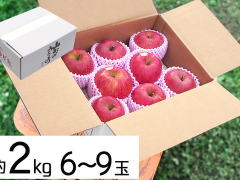 蜜入りりんごの代表格 サンふじ🍎2箱同梱 4kgセット 2キロ(6〜9玉)×2 蜜入りも!! ギフト 予約 りんご さんふじ 農薬節減