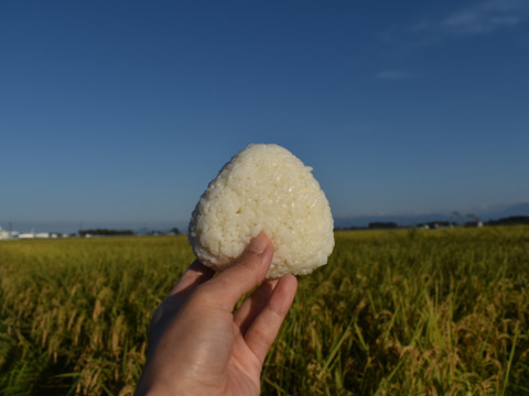 【R7新米！】青森県産まっしぐら【白米5キロ】