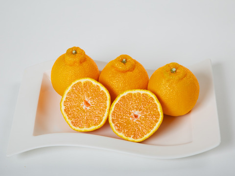 【春の柑橘】不知火3ｋｇ+はるか3ｋｇ
