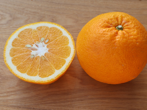 農家直送！甘夏あまなつ　訳あり8kg  【平武農園】〜蛍飛ぶ町から旬の便り〜　和歌山｜有田｜田口｜ギフト