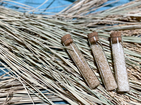 【2025年度産】［玄米］自然栽培コシヒカリ3kg（富山県氷見産）