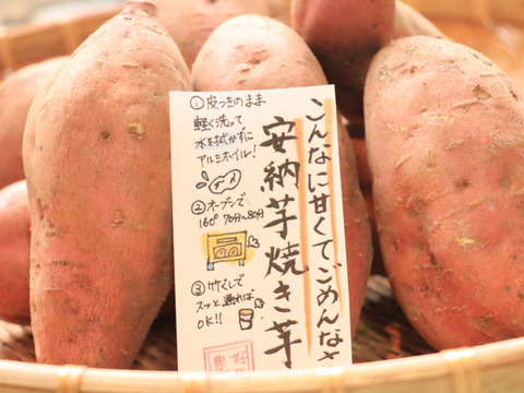 【ゲン担ぎ福袋】トロ甘熟成さつまいも！安納芋と安納黄金のおめでたい紅白食べ比べセット🎍🍠✨大きめサイズ（安納芋2キロ安納黄金2キロの計4Kg）お正月のきんとんにオススメ✨お買得な福袋