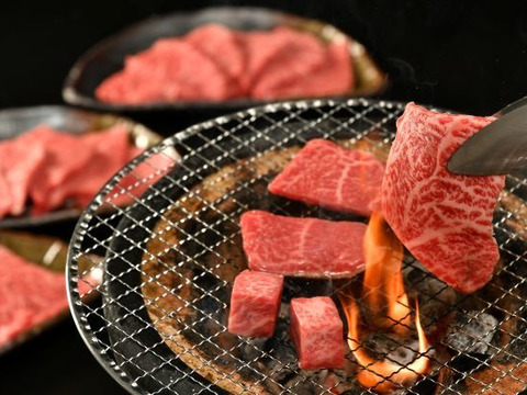 松阪牛焼肉（肩・モモ・バラ）400ｇ