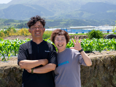 【訳あり】"おいしい水分補給"で熱中症対策『湧水きゅうり』 2kg：約15本