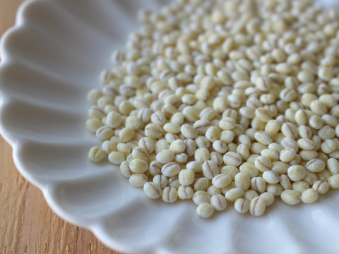 令和6年産★もちっプチっ食感が癖になる！岡山西大寺幸せもち麦（1ｋｇ(
500 g×２袋））