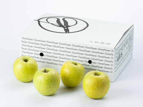 【りんご：王林】癒やしの香り豊かな時間 青りんご 12～6個程度（3kg程度）