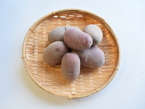 和らぎ農法　じゃがいも　レッドムーン（1袋）