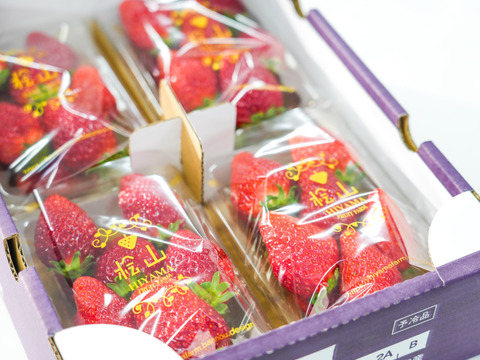 【食べ比べ】【いばらキッス・ひたち姫・やよいひめ】茨城県産いちご ４パック×１箱「食べチョクいちごグランプリ2026 」味わい部門「ザ・ジューシー賞」受賞【やよいひめ】含む