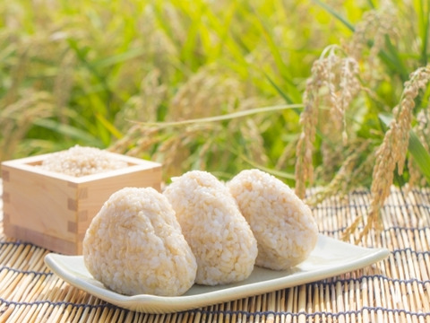 北アルプスの麓で育んだお米 長野県松川村産コシヒカリ5kg(玄米) ※精米は別ページにてご注文承ります※
