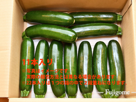 【化学農薬不使用】赤城のズッキーニ！11本入・約2.2kg