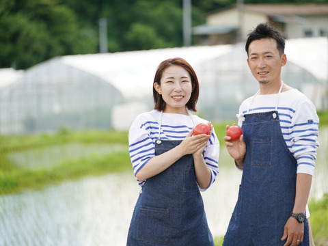 奇跡の糖度10.5度　岩手プレミアムトマトジュース　720ml  高級トマト品種使用　安心の無添加