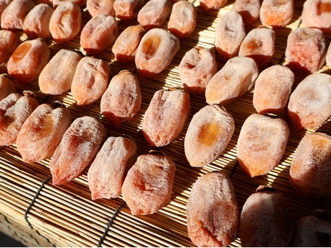 【好評につき再販】干し柿の最高峰！甲州百目柿『枯露柿』2号箱15個入