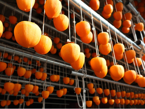 【1個200円以下！】山梨県産 スーパーフード！枯露柿24個入(在庫限りで終了)