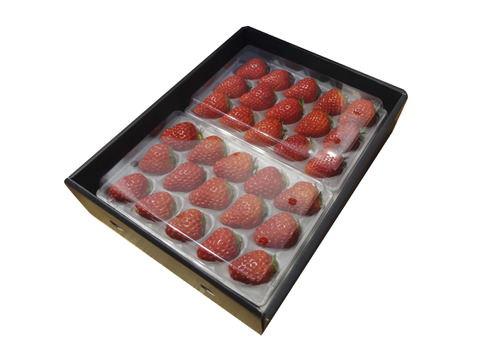 粒ぞろい！いただきいちご園の厳選2品種食べ比べセット　１５玉×２パック【化粧箱入り】【いちご食べ比べ】
