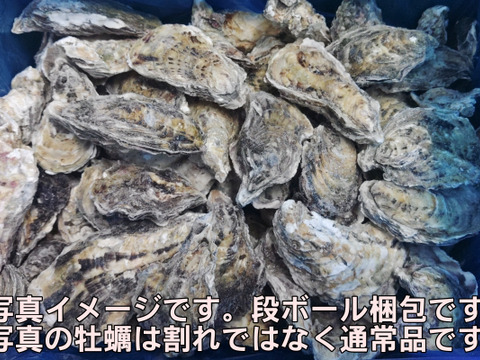 割れてしまった可哀そうな牡蠣🦪 10kg（目安100個くらい）✨冷凍 殻付き牡蠣 冷凍牡蠣 牡蛎 BBQ バーベキュー🔥味は変わらないのに 訳あり品😢