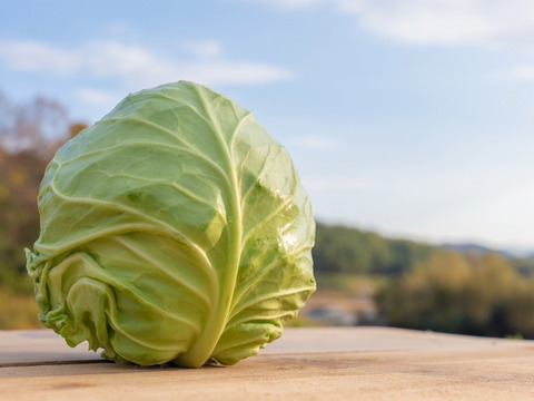 【今だけ！数量限定】大人気♪グリーンボール２玉と特別栽培淡路島玉ねぎ5キロ