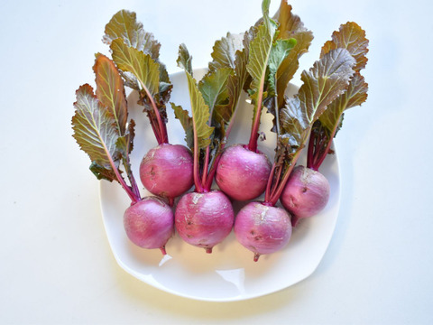 和らぎ農法　もものすけかぶ　大（2～6個）