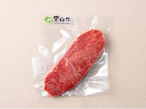 【お試しBOX】希少部位ステーキ３種３枚（ヒレスライス・ランプ・ミスジ）計340g　希少部位3種をオトクに食べ比べ♪