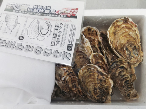 【水産庁補助事業 送料無料】剥き身セット🚚2.3kg 予約販売 【1/7～発送スタート】生牡蠣🦪生食用むき身300g+殻付き牡蠣普通サイズ ２kg（目安12-32個）松島牡蠣屋 C