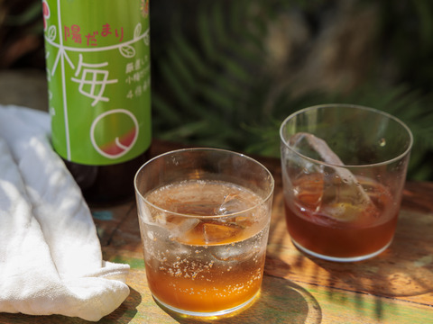 20本セット暑い夏を乗り切ろう！クエン酸たっぷり 梅シロップ  4倍希釈時25%うめ果汁入り飲料 （550ml×20本）栽培期間中農薬不使用