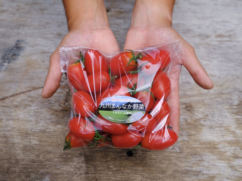 肉厚でジューシー！山の恵みがつくるアイコミニトマト (1kg)