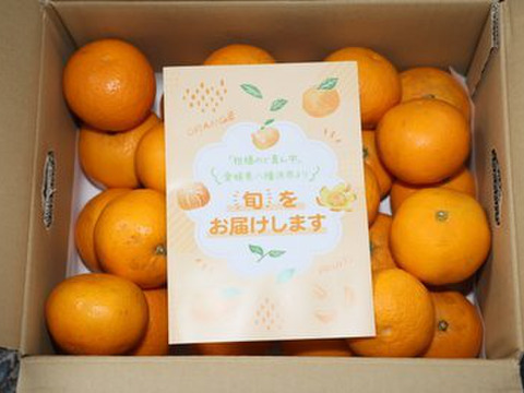 【家庭用】清見 5kg 果汁たっぷり香りよし♡愛媛みかん！！