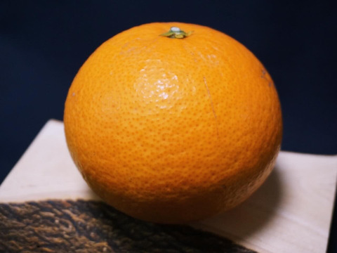 【母の日ギフト】『果汁溢れ出す清見オレンジ』約6〜10玉入り サイズ混合