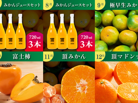 《みかんのある暮らし》三代目の月替わり定期便3kg~5kg+α