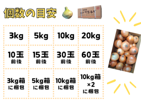 【野菜ソムリエサミット金賞🏆】淡路島新玉ねぎ5kg