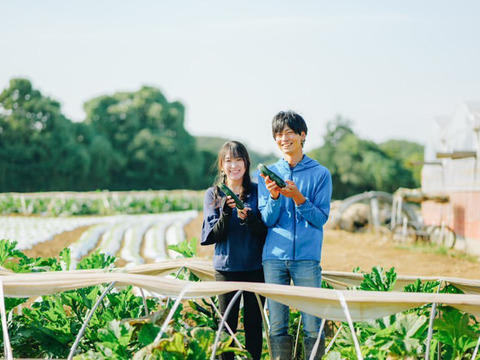 【野菜ソムリエサミット銀賞受賞】農家が恋したズッキーニ(2kg)