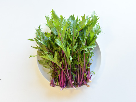 和らぎ農法　赤軸水菜（1袋）