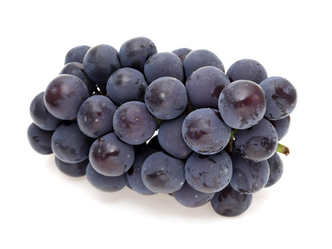 濃厚な甘さ！朝どれ直送＜種なし巨峰 約1kg＞ボリュームたっぷり（2〜3房）