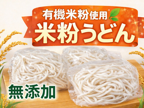 有機米使用 米粉うどん グルテンフリー 3袋 小麦不使用 冷凍 冷やしうどん ざるうどん 無添加 米粉麺 冷凍便