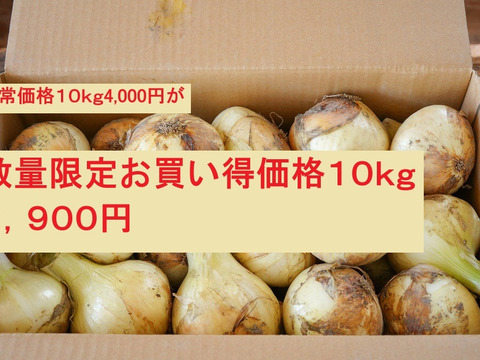 数量限定セール!!　１０ｋｇでこの価格【2,900円】　　納豆菌栽培淡路島産　極早生　新玉ねぎ１０ｋｇ（残留農薬不検出）