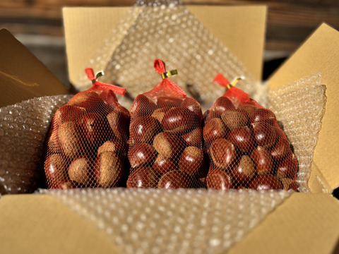 【福袋】【完熟熟成栗】超お得価格！熟成蔵出し特別セット『 Ｌ / 2L / 3L 』1㎏×3袋(計3kg)【限定６０個】