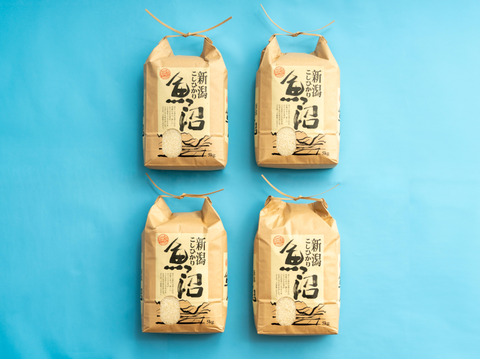 【年末セール‼】【R7新米】南魚沼産コシヒカリ 白米5kg×4 ひらくの里ファーム 慣行栽培