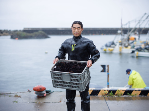 宮城県女川産冷凍うに「金華うに®雪幻」