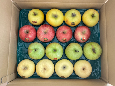 【12月発送】おまかせ旬りんご詰め合わせ（家庭用5kg・14~20玉）【みんなで食べ比べ🍎】