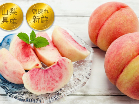 【すぐ発送！🍑山梨日川白鳳】約2キロ！中サイズ8〜9個でお届け！一度食べたら忘れられない  その時期一番おいしい品種をお届け【品種おまかせ】