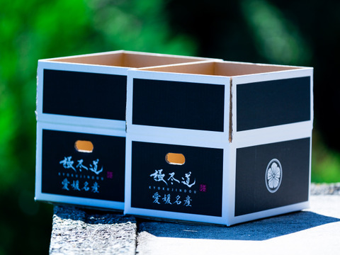 【高級柑橘】玉宝デコ（５kg）（ご家庭用）※２月上旬発送