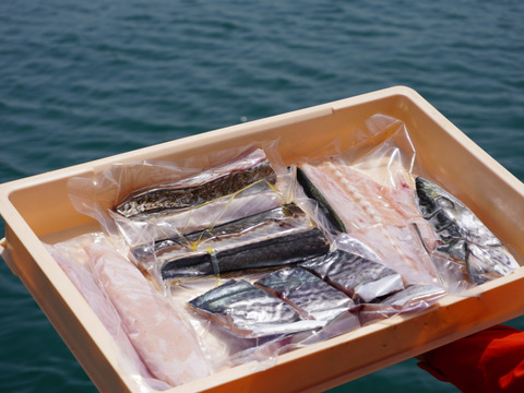 1匹まるごと使っちゃいます サワラで満腹セット 香川県産 食べチョク 農家 漁師の産直ネット通販 旬の食材を生産者直送