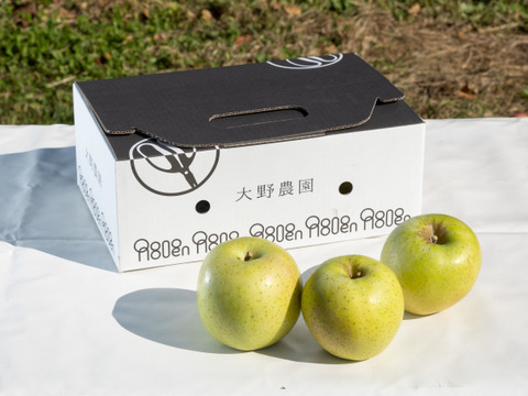 【りんご：王林】癒やしの香り豊かな時間 青りんご8～5個程度（2kg程度）