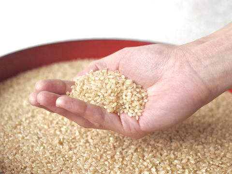 もちプチ食感 きらほ玄米 20㎏ ≪特別栽培米≫