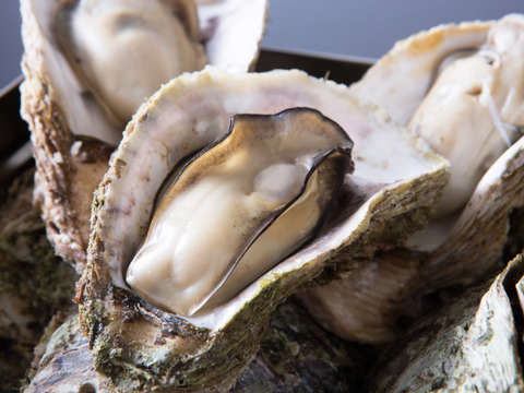 お得で人気な5Kgセット！！✨立山連峰の雪解け天然岩牡蠣✨（小～中サイズ20個前後）