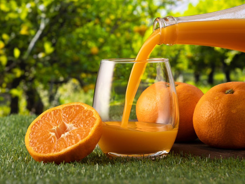 手むき　究極のみかんジュース【２本セット】　無添加100％