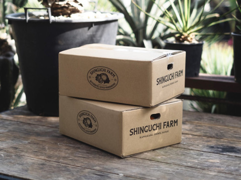 【予約限定価格】柑橘の大トロ【せとか 3.5kg×2箱】～とろける濃厚果実～ 家庭用