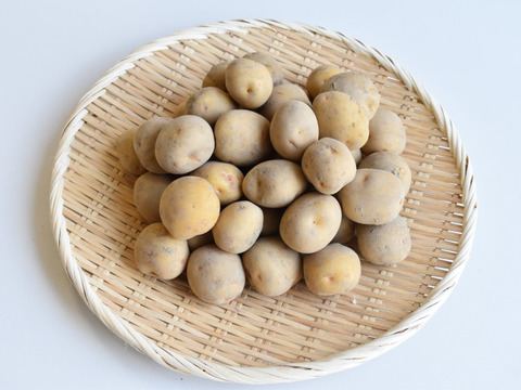和らぎ農法　じゃがいも　春じゃがキタアカリ便（約2.5kg）